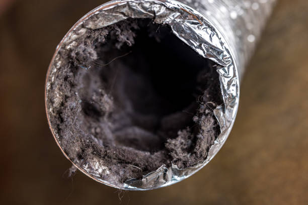 Best Air Vent Cleaning Services  in St Clairsville, OH